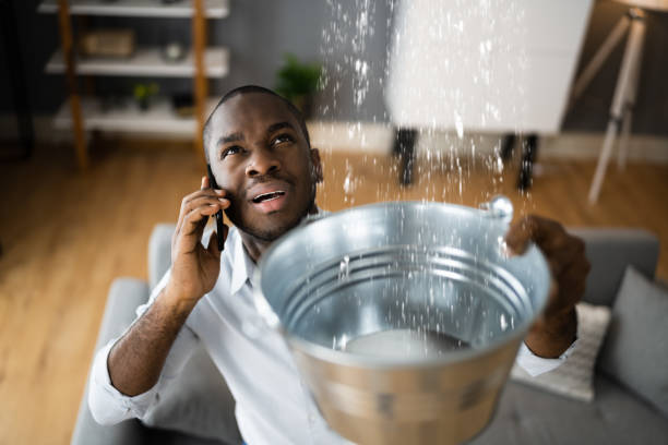 Best Local water damage restoration  in USA